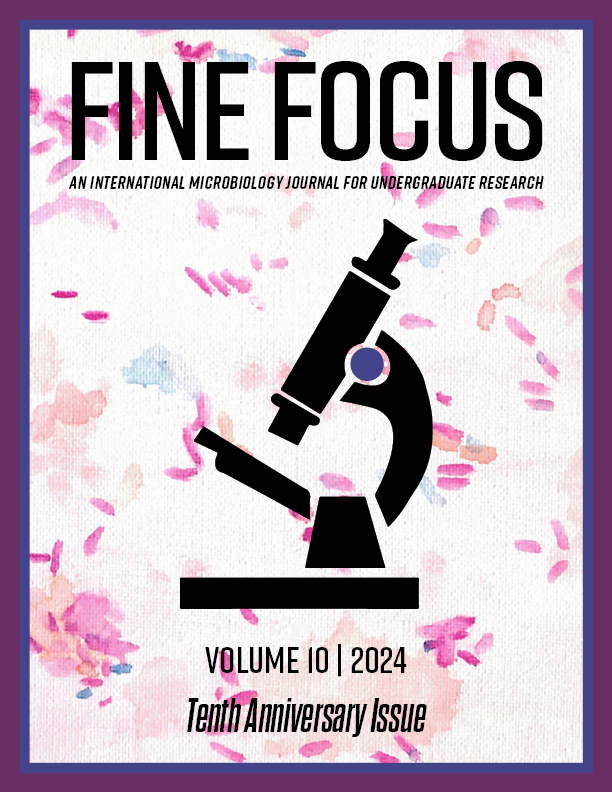 Cover of Fine Focus Volume 10